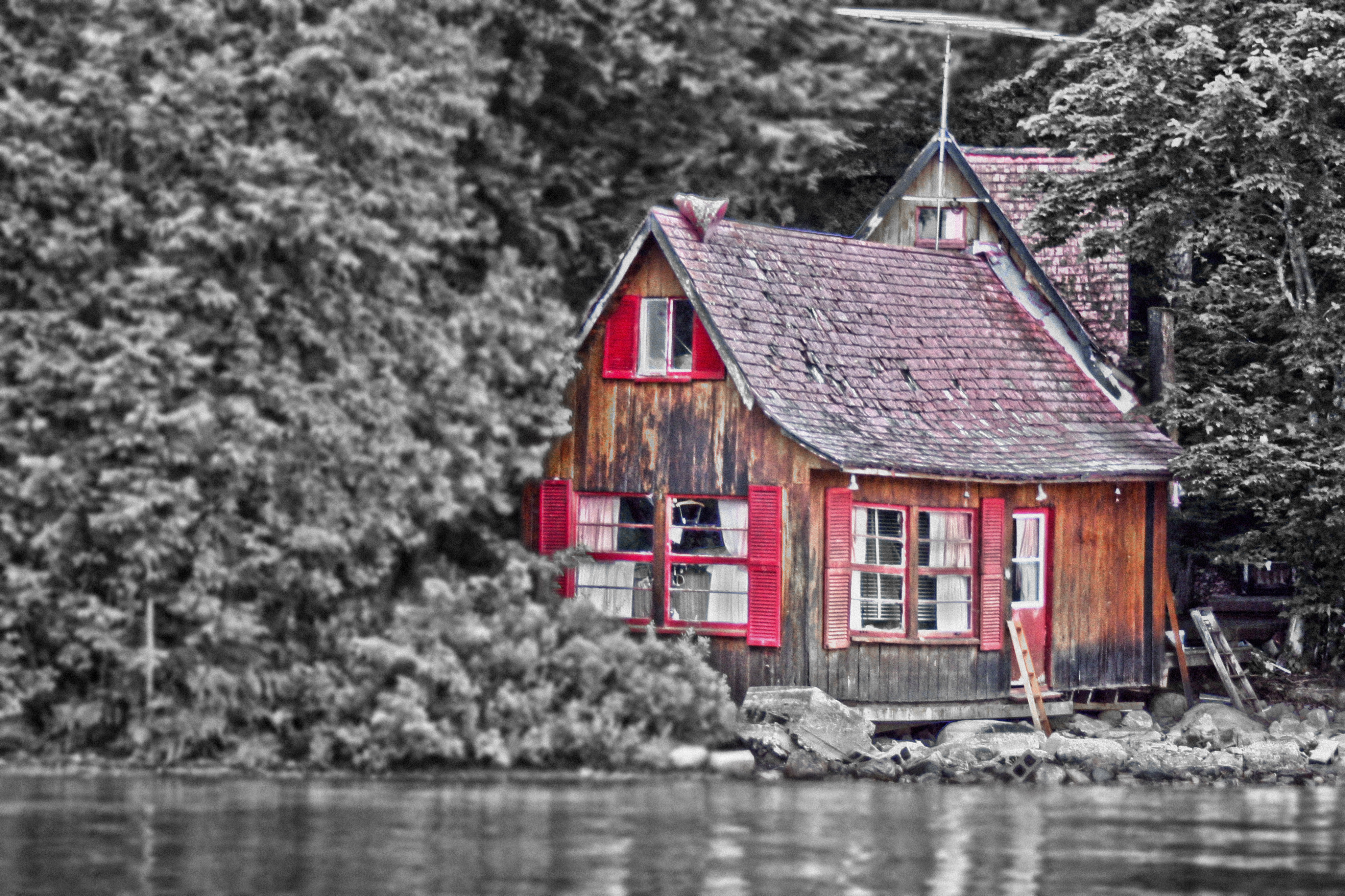 Fotografie - Waldbrand Media | Grafikdesign Ruhrgebiet